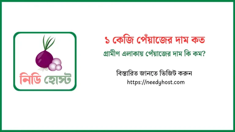 জানুন ১ কেজি পেঁয়াজের দাম কত ২০২৫